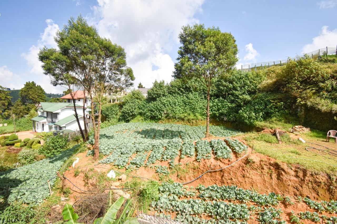 St. Anne Holiday Bunglow Nuwara Eliya Eksteriør billede